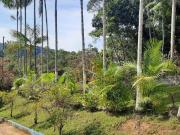 Sítio / Chácara para Venda em Peruíbe/SP Parque Serra...