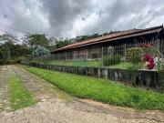 Sítio / Chácara para Venda em Piau/MG Centro 14 Quartos