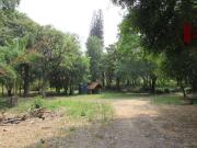 Sítio / Chácara para Venda em Piedade/SP Zona Rural