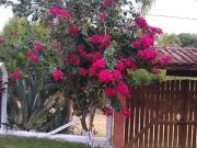 Sítio / Chácara para Venda em Pilar do Sul/SP Jardim...