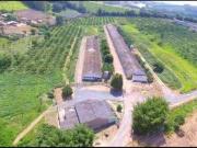 Sítio / Chácara para Venda em Pilar do Sul/SP Zona Rural...