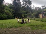 Sítio / Chácara para Venda em Piracaia/SP Recanto Pouso...