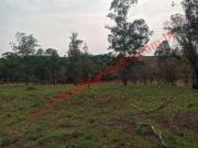 Sítio / Chácara para Venda em Piracicaba/SP Tupi