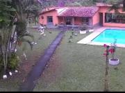 Sítio / Chácara para Venda em Piraí/RJ Varjão 2 Quartos