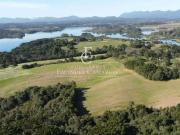 Sítio / Chácara para Venda em Piraquara/PR Guarituba