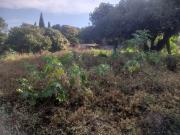 Sítio / Chácara para Venda em Pirassununga/SP Vila Malaquias