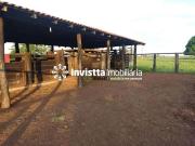 Sítio / Chácara para Venda em Pium/TO Centro