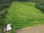 Sítio / Chácara para Venda em Poços de Caldas/MG Área...