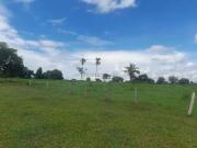 Sítio / Chácara para Venda em Poconé/MT Zona Rural 2 Quartos