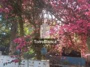 Sítio / Chácara para Venda em Ponta Grossa/PR Colônia...