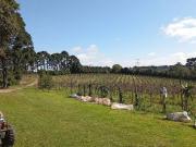 Sítio / Chácara para Venda em Ponta Grossa/PR Guaragi