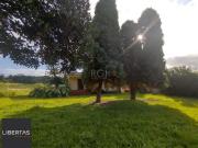 Sítio / Chácara para Venda em Porto Alegre/RS Campo Novo