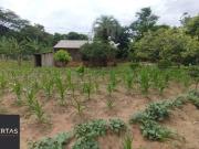 Sítio / Chácara para Venda em Porto Alegre/RS Restinga 3...