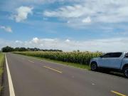 Sítio / Chácara para Venda em Porto Amazonas/PR Zona...