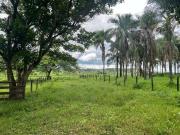 Sítio / Chácara para Venda em Prata/MG Zona Rural 1 Quartos