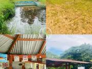 Sítio / Chácara para Venda em Presidente Figueiredo/AM...