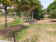 Sítio / Chácara para Venda em Presidente Prudente/SP...