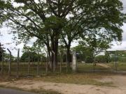 Sítio / Chácara para Venda em Recife/PE Guabiraba 1 Quartos