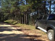 Sítio / Chácara para Venda em Ribeirão Preto/SP Centro