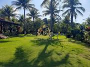 Sítio / Chácara para Venda em Rio Bonito/RJ Palmital 3...