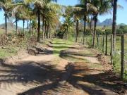 Sítio / Chácara para Venda em Rio das Ostras/RJ Colinas
