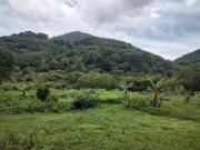 Sítio / Chácara para Venda em Rio de Janeiro/RJ Campo Grande