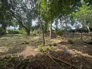 Sítio / Chácara para Venda em Rio de Janeiro/RJ Vargem...