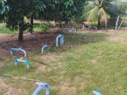 Sítio / Chácara para Venda em Rio do Fogo/RN Centro 3...