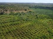Sítio / Chácara para Venda em Rio do Fogo/RN Centro 6...