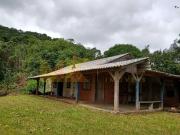 Sítio / Chácara para Venda em Rio dos Cedros/SC Barra...