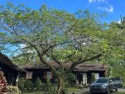 Sítio / Chácara para Venda em Rio dos Cedros/SC Cedro...