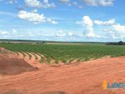 Sítio / Chácara para Venda em Rio Verde/GO Área Rural de...