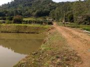 Sítio / Chácara para Venda em Rodeio/SC Zona Rural