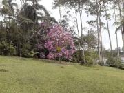 Sítio / Chácara para Venda em São Bernardo do Campo/SP...