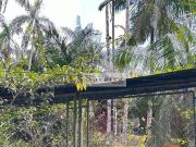 Sítio / Chácara para Venda em São Bernardo do Campo/SP...