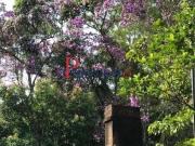 Sítio / Chácara para Venda em São Bernardo do Campo/SP...