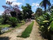 Sítio / Chácara para Venda em São Bernardo do Campo/SP...