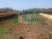 Sítio / Chácara para Venda em São Carlos/SP Monjolinho 3...