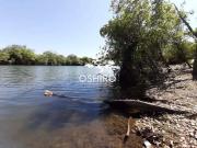 Sítio / Chácara para Venda em São Félix do Araguaia/MT...