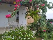 Sítio / Chácara para Venda em São Gonçalo dos Campos/BA...