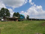 Sítio / Chácara para Venda em São João do Sul/SC Três...