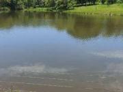 Sítio / Chácara para Venda em São José do Rio Preto/SP...