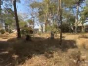 Sítio / Chácara para Venda em São José do Rio Preto/SP...