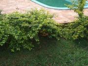 Sítio / Chácara para Venda em São José do Rio Preto/SP...