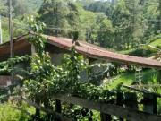 Sítio / Chácara para Venda em São José dos Campos/SP São...