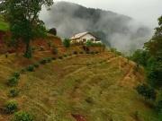 Sítio / Chácara para Venda em São José dos Campos/SP São...