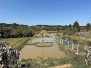 Sítio / Chácara para Venda em São José dos Pinhais/PR...