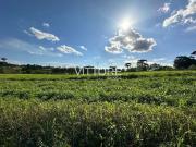 Sítio / Chácara para Venda em São José dos Pinhais/PR...