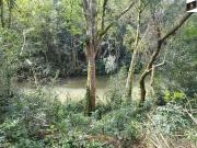 Sítio / Chácara para Venda em São José dos Pinhais/PR...