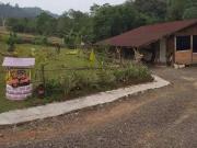 Sítio / Chácara para Venda em São Leopoldo/RS Fazenda...